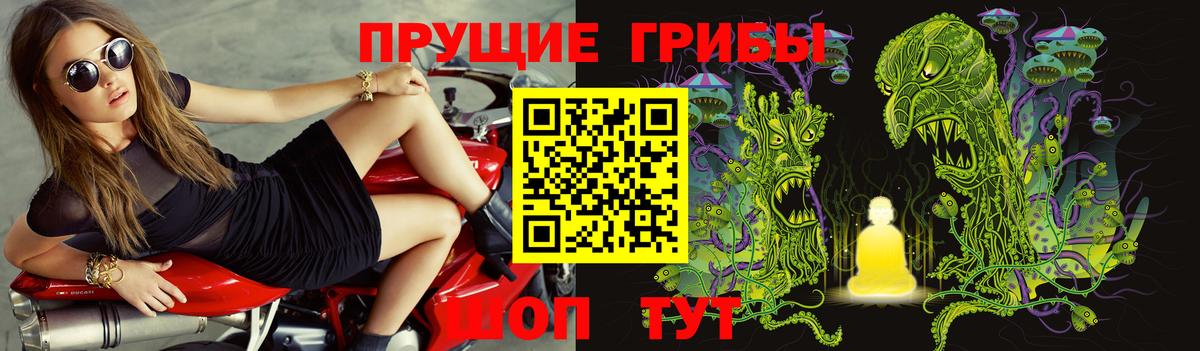 Псилоцибиновые грибы Cubensis  Псилоцибиновые грибы Psilocybine cubensis  Вход с VPN  Похвистнево 