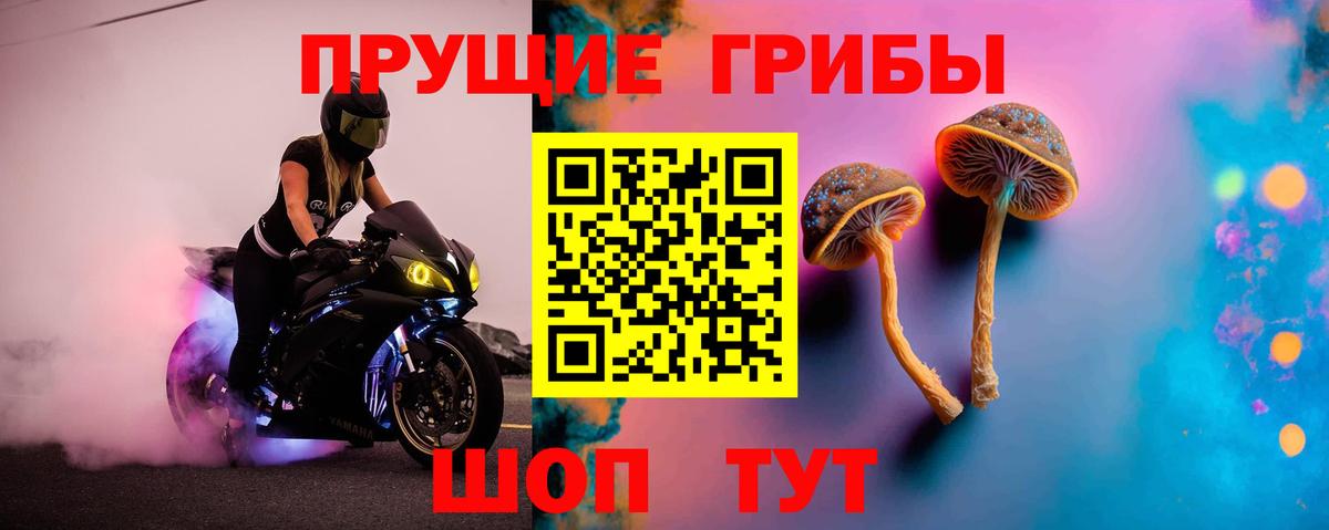 Галлюциногенные грибы MAGIC MUSHROOMS Похвистнево